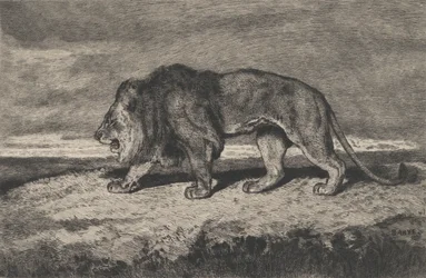 Løvevandring, 1866-1897.