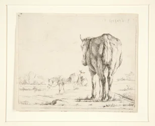 To hester på beite