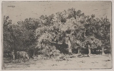 Et hjørne av Fontainebleau-skogen (radering)