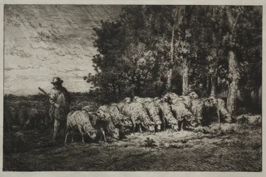 En flokk i utkanten av en skog
