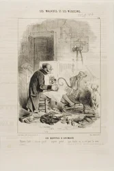 Et dyresykehus (plate 20)