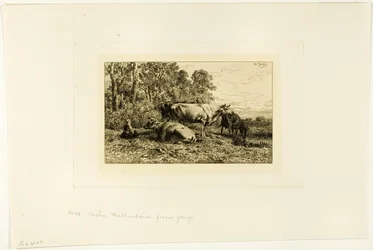 nederlandske kyr