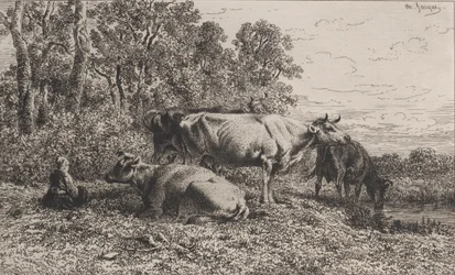 Hollandske kyr, 1864.