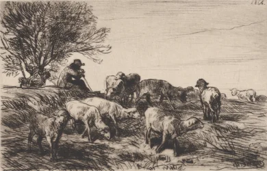 Saueflokk, 1864.