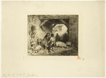 Griseslakterene