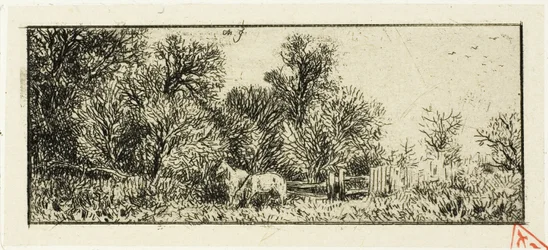 To hester i en skog