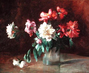 Peoner i en vase
