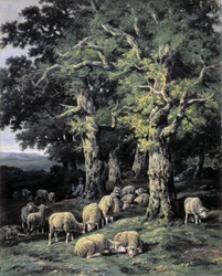 Sauer i skogen
