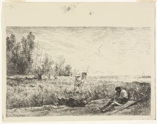 Høsting