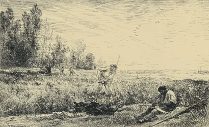 Høyhøsting