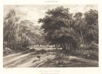 Ørneredet i Fontainebleau-skogen (Le nid de l