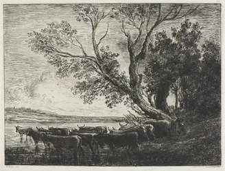 Forden