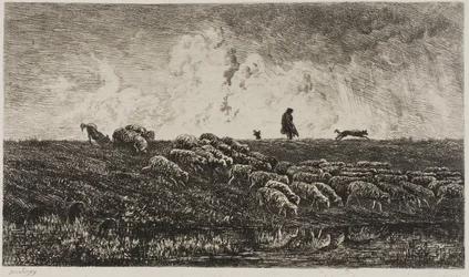 Dusjen