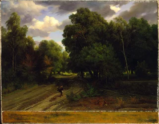 Krysset mellom Ørneret, Fontainebleau-skogen