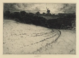 Morning, Canonicut Island, 1908.