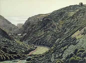 Valency Valley, Boscastle, Cornwall