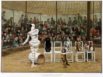 De lærde hundene: sirkusscene med klovn og hunder - etter Charles Green, engelsk chromo 1885. ¿De lærde hundene: sirkusscene med klovn og hunder - etter Charles Green, engelsk chromo 1885. ¿