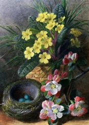 Epleblomster og primulaer. Stilleben med et rede og blomster. Maleri av Charles Henry Slater (1820–1890) Privat samling