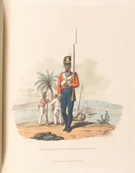 En menig fra det femte vestindiske regiment