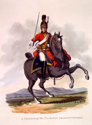Uniform of Private of the 1st or King