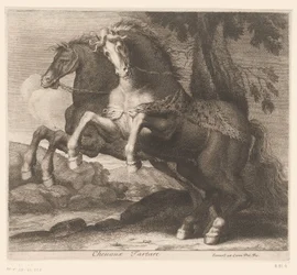 oppdrett av hester Chevaux Tartare (tittel på objekt) Dyreserie (serietittel)