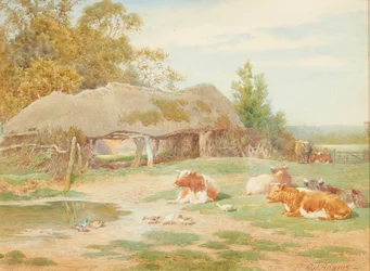 Storfe hviler (akvarell)