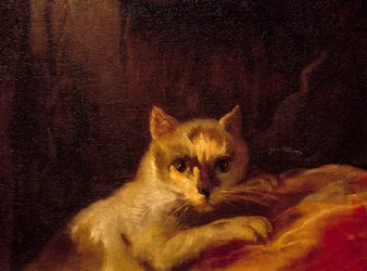 Mademoiselle de Charolais Detalj som representerer katten. Maleri av Charles Joseph Natoire (Charles-Joseph Natoire