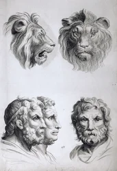 Likheter mellom hodet til en løve og et menneske, fra «Livre de portraiture pour ceux qui commencent à dessiner» av Le Brun