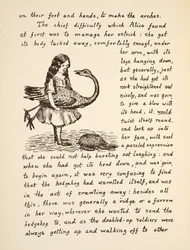 Alice holder strutsen sin, illustrasjon fra Alices Adventures Under Ground, pub. 1886 (faksimile)