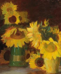 Fransk: Tournesols solsikker