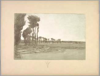 Suite de Paysages: Landskap, Plate 5, Remarque, Three Stalks of Wheat, 1892-1893.