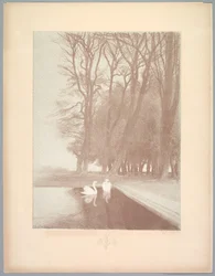 Suite of Landscapes: Landscape, Plate 6, Note, Lilies, 1892-1893.