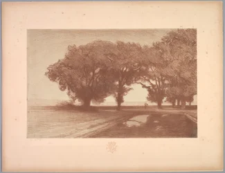 Suite av landskap: Landskap, Plate 8, Note, Stemorblomster, 1892-1893.