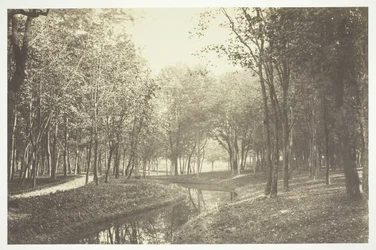 Uten tittel, c. 1850. [Trær nær vann i Bois de Boulogne, en park i Paris].