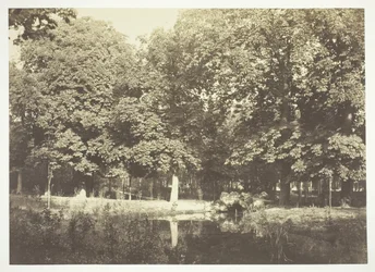Uten tittel, c. 1850. [Trær nær vann i Bois de Boulogne, en park i Paris].