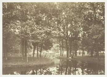 Uten tittel, c. 1850. [Trær nær vann i Bois de Boulogne, en park i Paris].