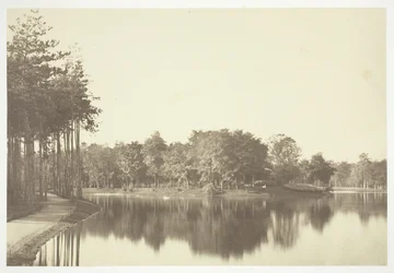 Uten tittel, c. 1850. [Trær nær vann i Bois de Boulogne, en park i Paris].