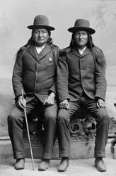 To måner og amerikansk hest, ca. 1889