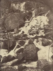 [Trær og fosser], 1860-65.