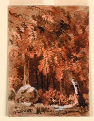 I skogen