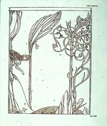 Illustrasjon for 