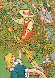 Plukke frukten, 1912