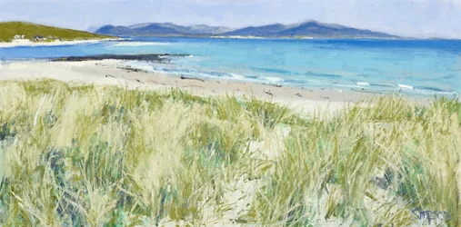 Beach Grasses, Berneray, 2011 (olje på lerret)