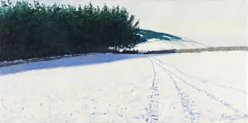 Mørke trær og snø, 2011 (olje på lerret)