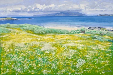 Machair, North End Iona, 2015 (olje på lerret)