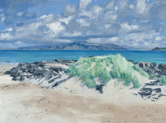 Steiner og gress, Iona, 2013 (olje på lerret)