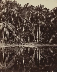 Tetiaroa - En Paumotu-lagune, 1880- eller 1890-tallet.
