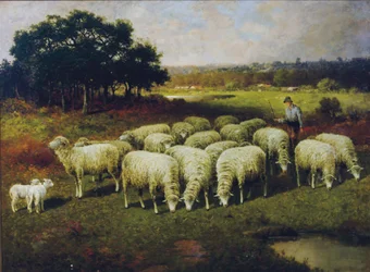 En hyrde med sauene sine ute på marken, 1898