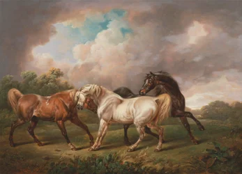 Tre hester i et stormfullt landskap