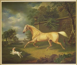 Ukjent bilde